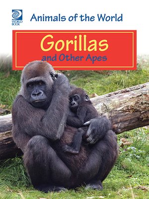 cover image of Gorillas and Other Apes